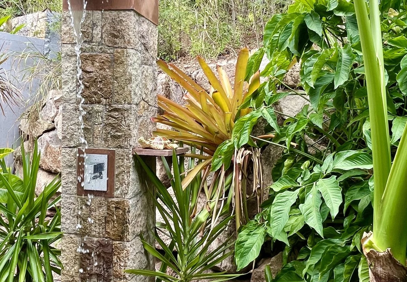 BONHEUR — photo 6